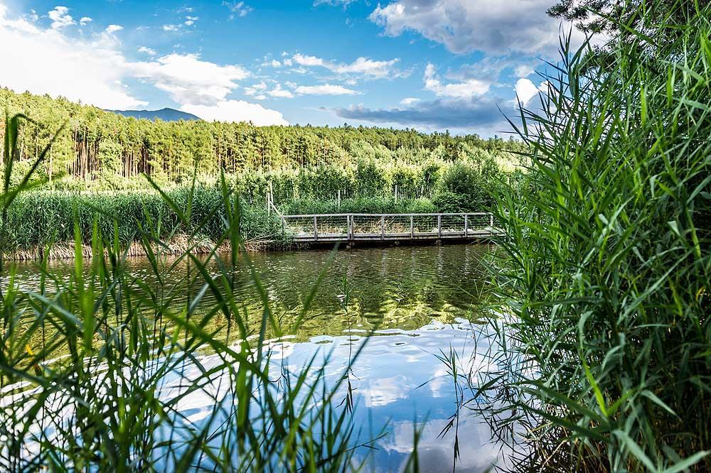 Вилла Walderhof Natz Экстерьер фото